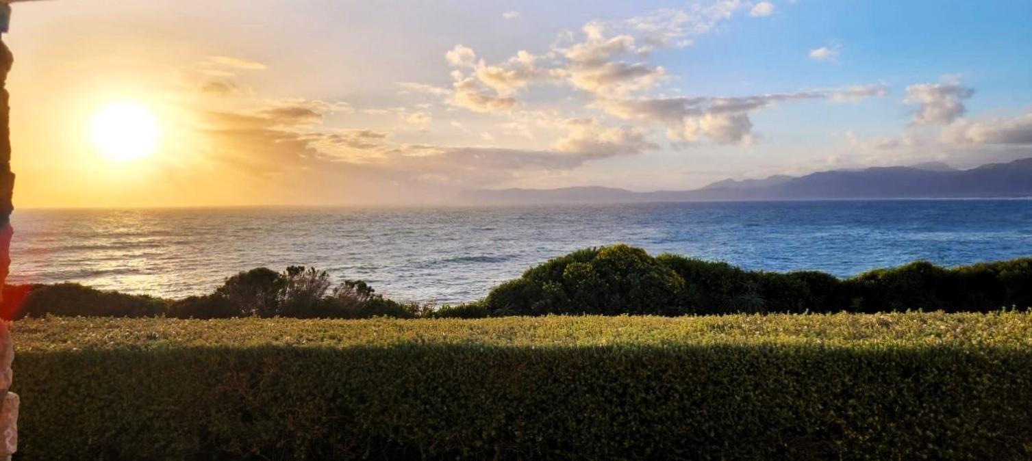 Kleinzee Oceanfront Guesthouse Gansbaai Esterno foto