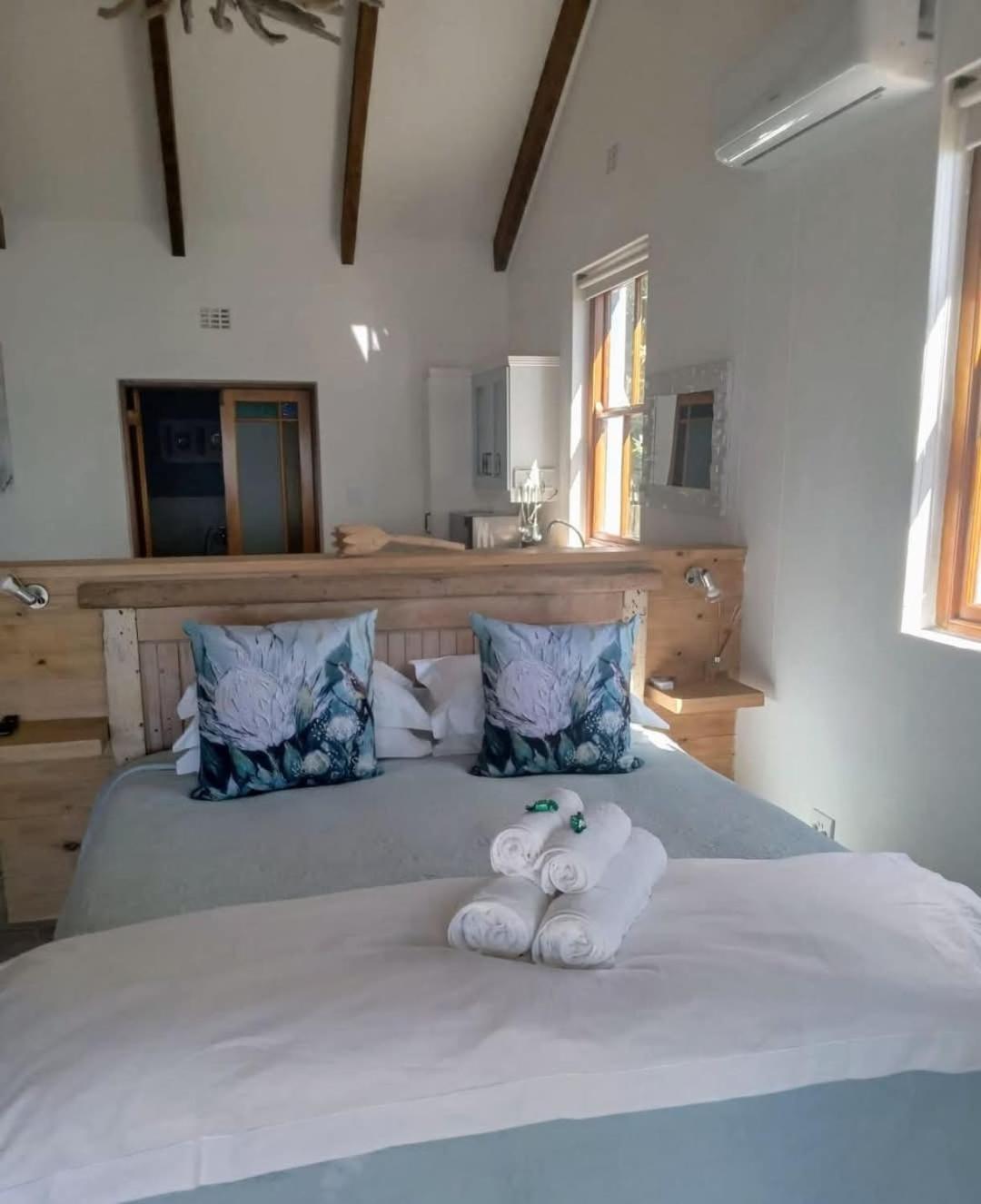 Kleinzee Oceanfront Guesthouse Gansbaai Esterno foto