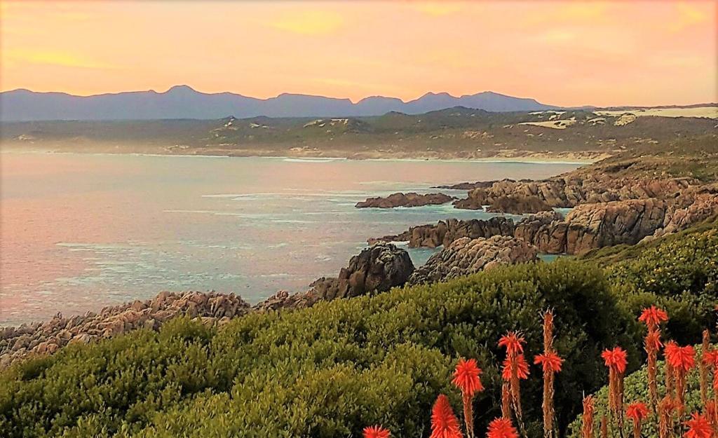 Kleinzee Oceanfront Guesthouse Gansbaai Esterno foto