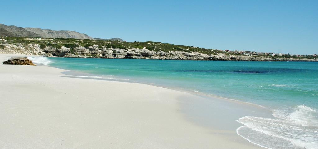 Kleinzee Oceanfront Guesthouse Gansbaai Esterno foto